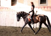 Stallone P.R.E. in mezza fida
