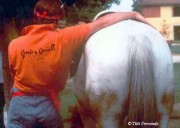CERCASI GROOM