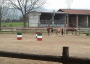 pensione cavalli