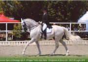 Cerco Sponsor stagione agonistica 2013