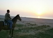 Weekend a cavallo nella riviera del Conero