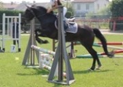 Vendo doppio pony