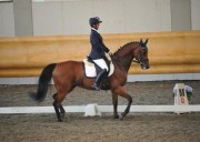 Cavalla 10 anni da dressage