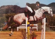 Vendo S.I. 7 anni da Corland x c120s.o e cat3 completo