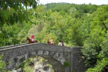 Turismo equestre Fise, viaggio nelle terre di Canossa