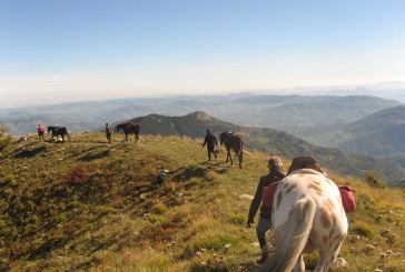 Turismo equestre Fise: tra i Castelli dei Landi nell’Appennino Parmense