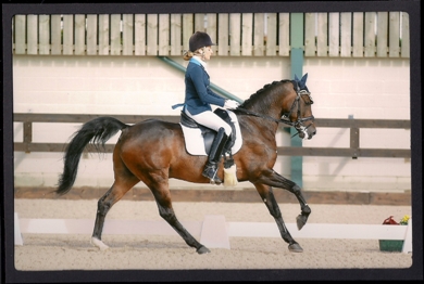 Dressage: podio doppio per l’Italia dei giovani