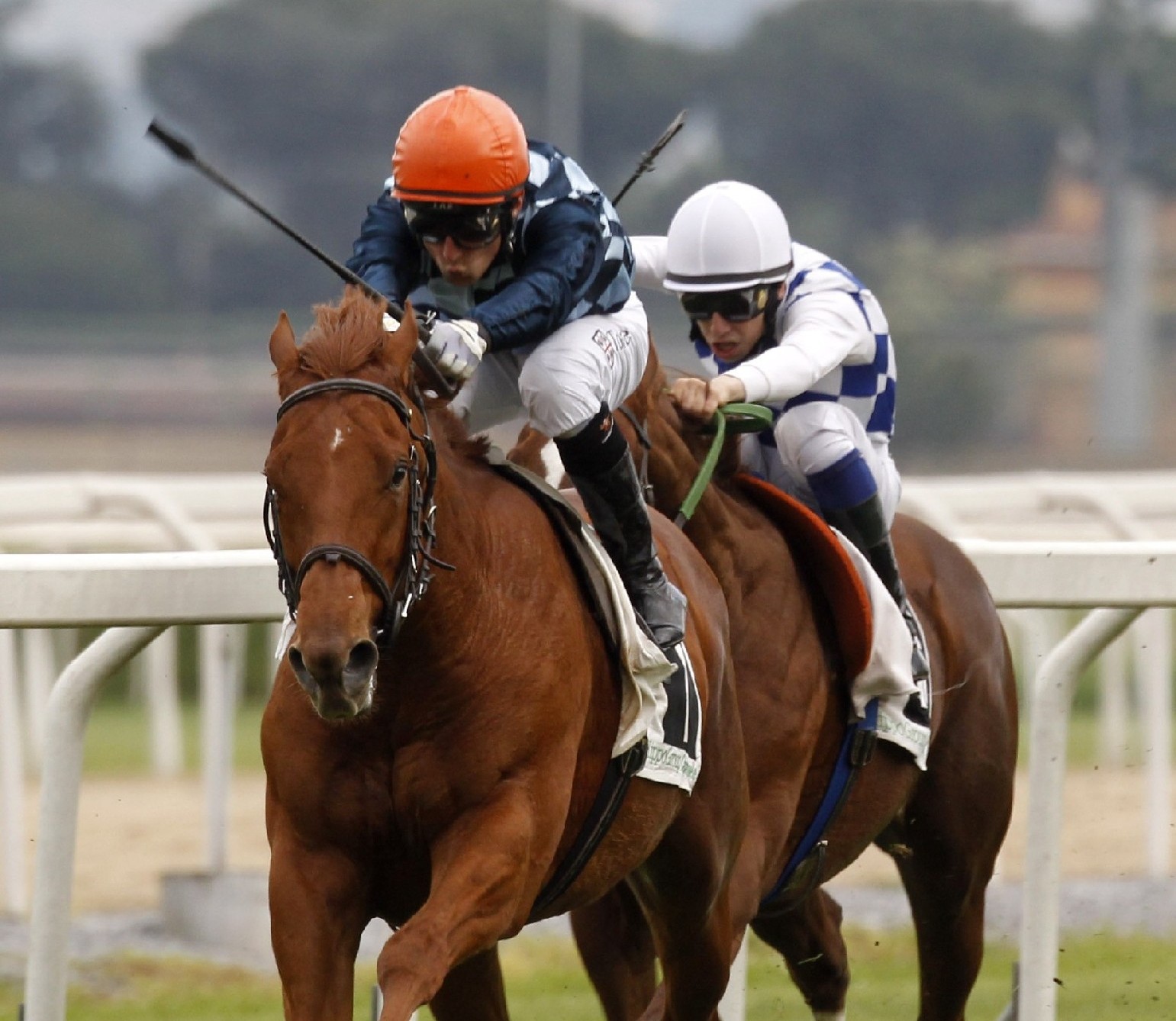 Ippodromo Capannelle: va in scena il 128° Derby Italiano Better