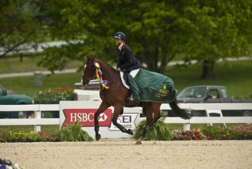 CCI**** Rolex Kentucky: Mary King imbattibile