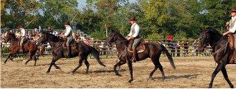 Cavalli a Primavera a Pratino a Tuscania