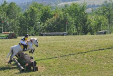 Captain Mark Phillips lascia il posto di trainer per il Belgio a Marc Rigouts