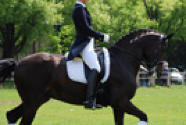 Corso Istruttori 1°liv. di Dressage