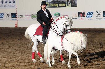 Salone del Cavallo Americano – fotogallery
