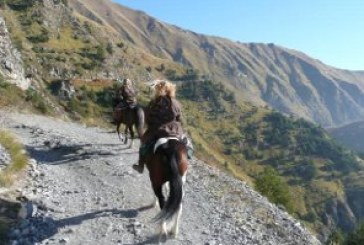Turismo equestre FISE, i Re dei Boschi tra sapori e parchi