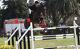 Equitazione: grande attesa al campo ippico del Solaro di Sanremo … – Sanremonews