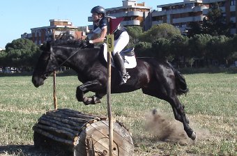 Campionato italiano di cross Fitetrec-Ante: dalla Puglia in Lombardia
