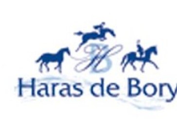 CSI** Haras de Bory: ottavo posto di Lorenzo De Luca nel GP
