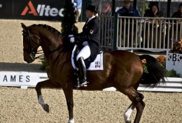 Dressage: cambiamenti in vista voluti dalla FEI