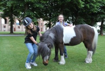Centro Internazionale del Cavallo – La Venaria: protagonisti bambini e cavalli