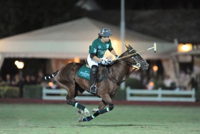 Edoardo Ferrari, polo e studio!