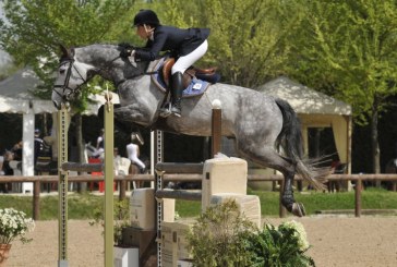 Qualifiche per la finale del circuito di eccellenza cavalli giovani salto ostacoli