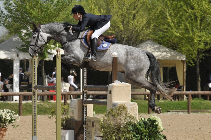 Qualifiche per la finale del circuito di eccellenza cavalli giovani salto ostacoli