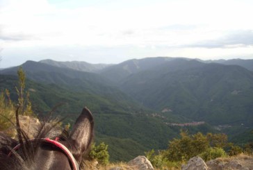 Fise Emilia Romagna – Sette giorni a cavallo: un’opportunità da non perdere