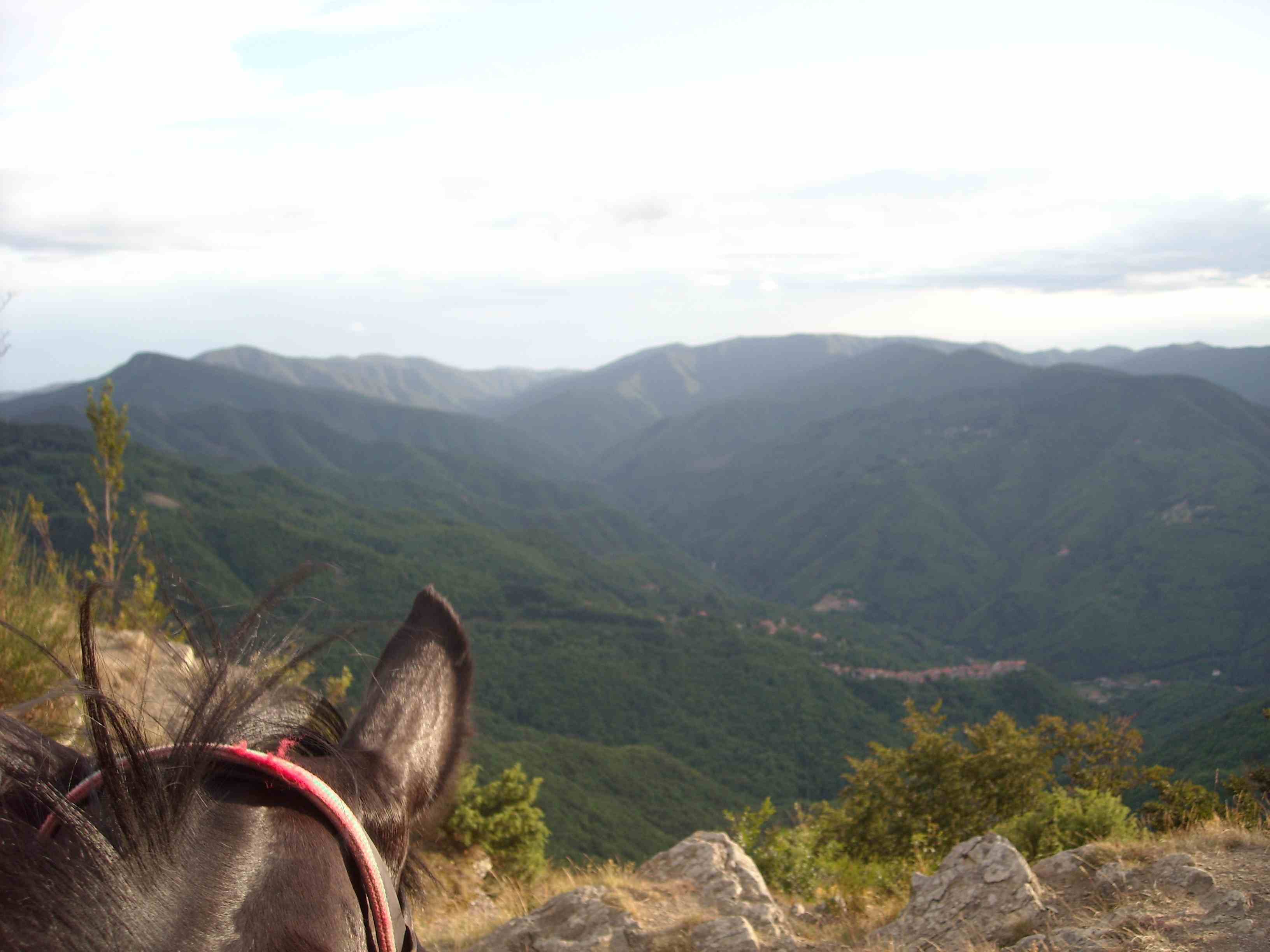 Fise Emilia Romagna – Sette giorni a cavallo: un’opportunità da non perdere