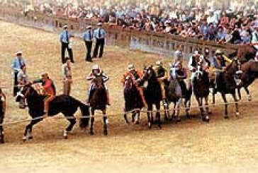 Palio di Siena: muore cavallo durante la quarta prova