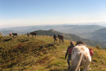 Turismo equestre FISE: obiettivo 5 terre