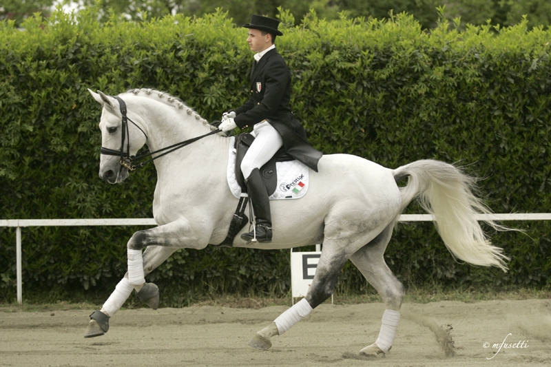 Campionati Europei Juniores e Young Rider Dressage a Broholm Castle, Danimarca