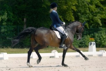 Dressage, Europei pony Jaszkowo: buone prove per Marconi e Remold