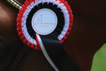 Horse Festival di Valkenswaard – Ramos vince la categoria Giovani Cavalli