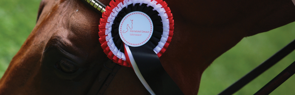 Horse Festival di Valkenswaard – Ramos vince la categoria Giovani Cavalli