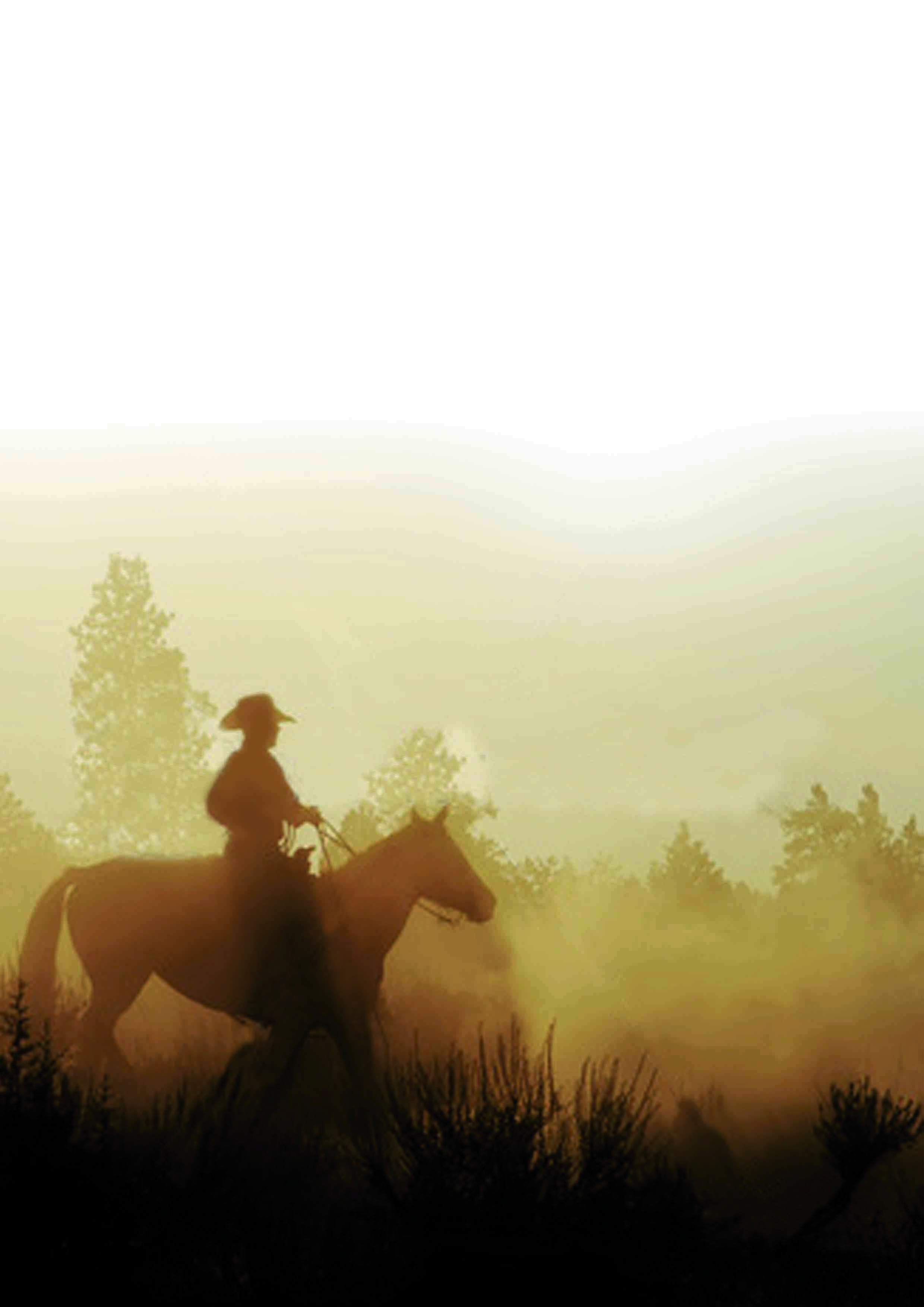 Campionato di Ranch Reining SEF-Italia: la giuria è affidata a Mauro Vittorelli
