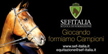 Sef Italia a Cavalli Milano – Alla Fiera lombarda, tutte le iniziative di Sef