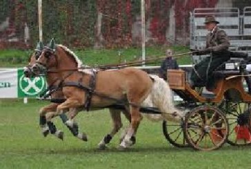 Mondiali Attacchi Pony: Italia di bronzo