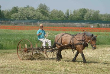 Fiera Cavalli Verona – La vita eco-compatibile e la cultura Amish