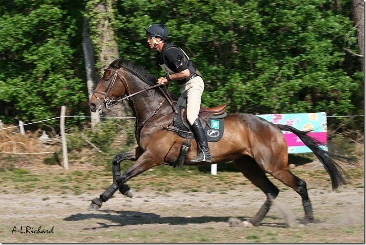 CCI Saumur, Arianna Schivo è la migliore degli azzurri