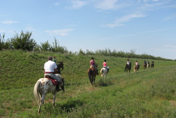 Il Progetto Turismo Equestre Fise porta tra le meraviglie del delta del Po