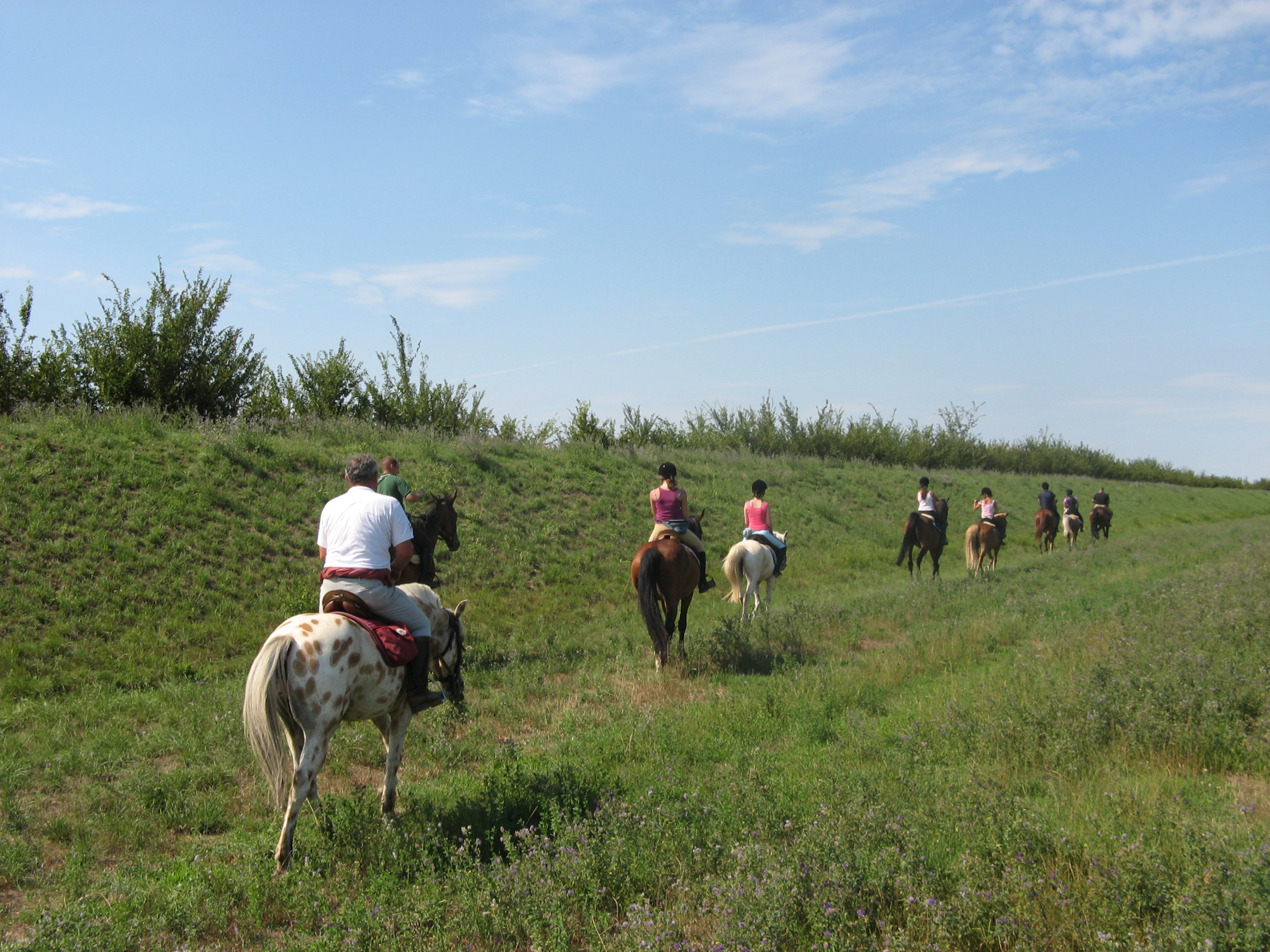 Il Progetto Turismo Equestre Fise porta tra le meraviglie del delta del Po