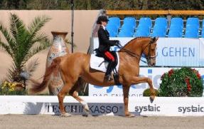 Reem Acra Fei World Cup Dressage: sogno azzurro