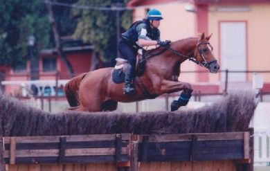 I campionati italiani dei giovani completisti