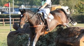 CIC Luhmuehlen: ancora Jung