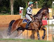 Quarto posto per Magni dopo il dressage al CCI di Adelaide