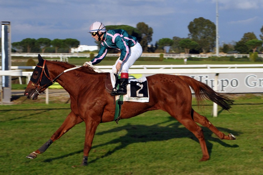 Ippodromo Capannelle: fine anno con i saltatori, in piano ultima tris del 2011