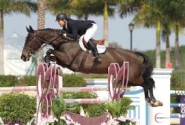 Infortunio per McLain Ward a Wellington