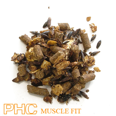 Zuvadelli ha scelto PHC Muscle Fit