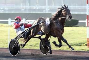 Ready Cash due volte campione nel Prix D’Amerique