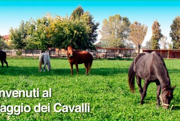 Il villaggio dei cavalli, la prima “stalla attiva” italiana